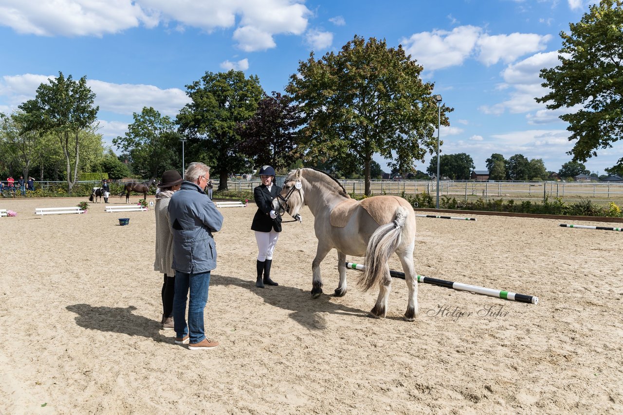 Bild 12 - Pony Akademie Turnier